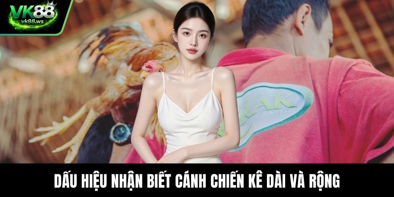 Dấu hiệu nhận biết cánh chiến kê dài và rộng